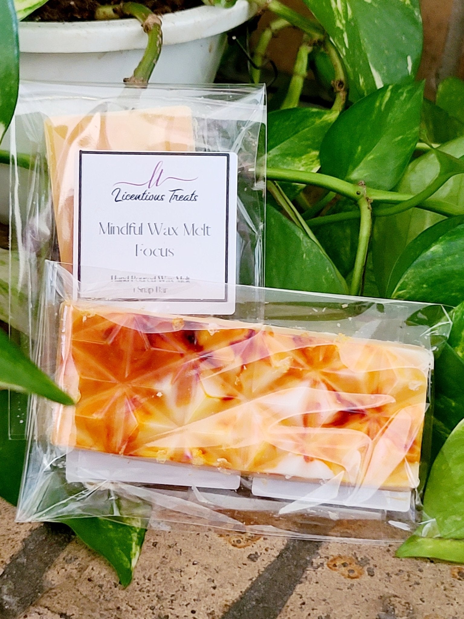 Wax Melts - Focus - Licentious TreatsWax Melts - Focus